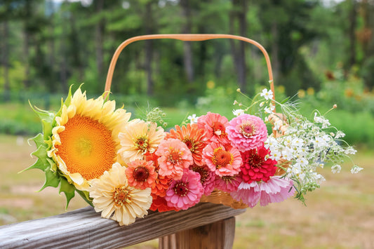 A New England Garden in August