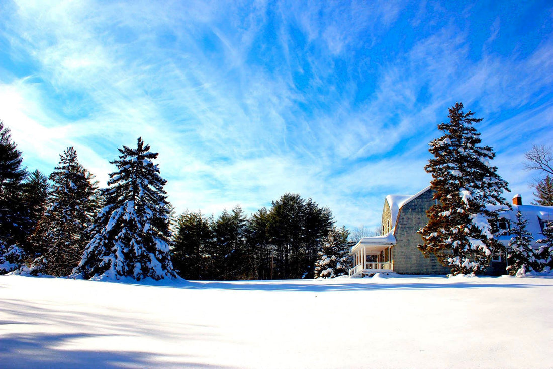 A Fresh Start with The Foundry